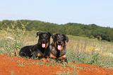 BEAUCERON 289